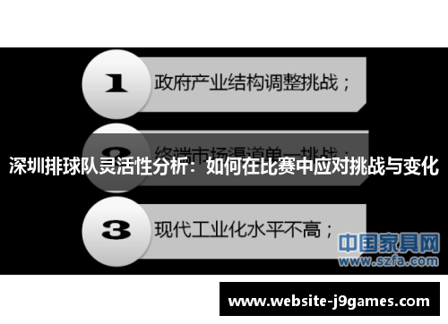 深圳排球队灵活性分析：如何在比赛中应对挑战与变化